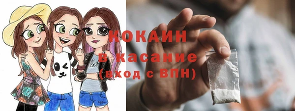 СК Алексин
