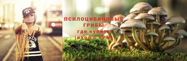 СК Алексин